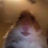 usertl5g328rep