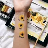 mel_isa2004