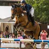 _sh0wjumping_breeding