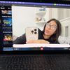 stephrxm