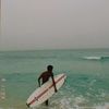 adhamehab10