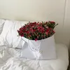dahastar