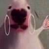 ifelloffjesus