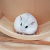 baldwin.the.hamster