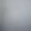 batbatbat2
