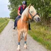 necla_offical_20
