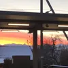 scheissegal.ch
