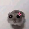 smoke_meownt