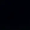 nonloso.1234554321