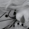 sky_asteria