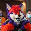 pyxethefox