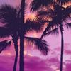 tropical_gum