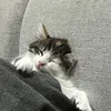 -_^♡