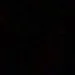 samira_ctn