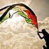 free07palestine