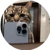 jaell011yt