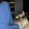benzmorocco