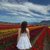 morgan_stockburn