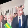 luizacesa.___