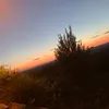 gilberts_spam