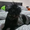 whittaker_nath