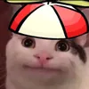 alexlarosette