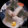 lyynx_769