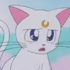 kokisholisti