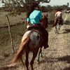 ariy_c