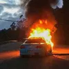 vinnie_s140