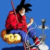 ro_dbz