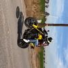 berryfz09