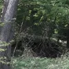 djimmy05