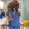 dogtor.farouk