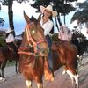 lauracamila_367
