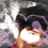 dante_swift