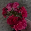 nayla.cni