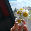 irenedominguez9