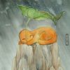 charmander4
