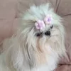 danielessouza1