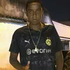 tremdodluabb