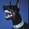 ysl_0.1