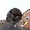 coldcrlmson