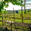 Kalon's Farm