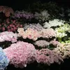 aichat_67