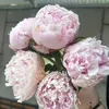 smhm9