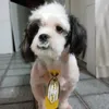 deiseferreiraf