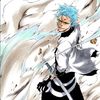 jaegerjaquez.grimmjow