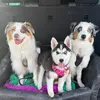 mylo_wird_zum_assistenz