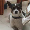 charilopezp